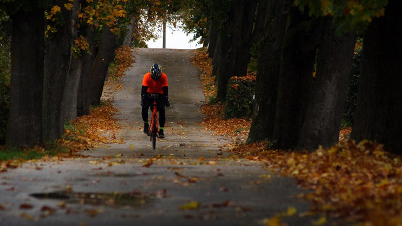 Pedal Power – The Unstoppable Growth of Cycling